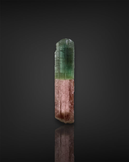 Multicolor Tourmaline Crystal from the Morro Redondo, Minas Gerais, Brazil