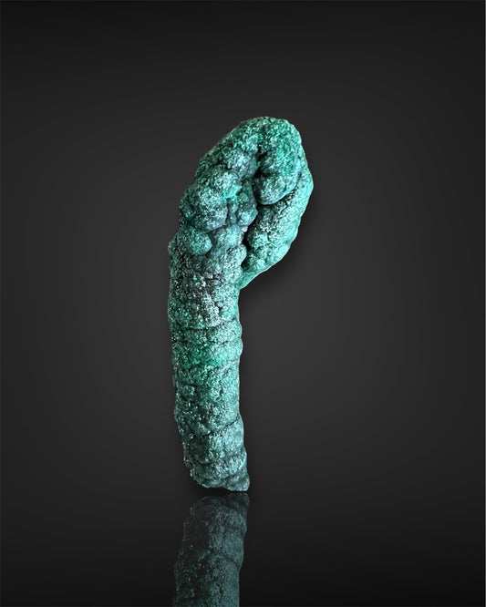 Botroydial Malachite Stalactite from the Congo