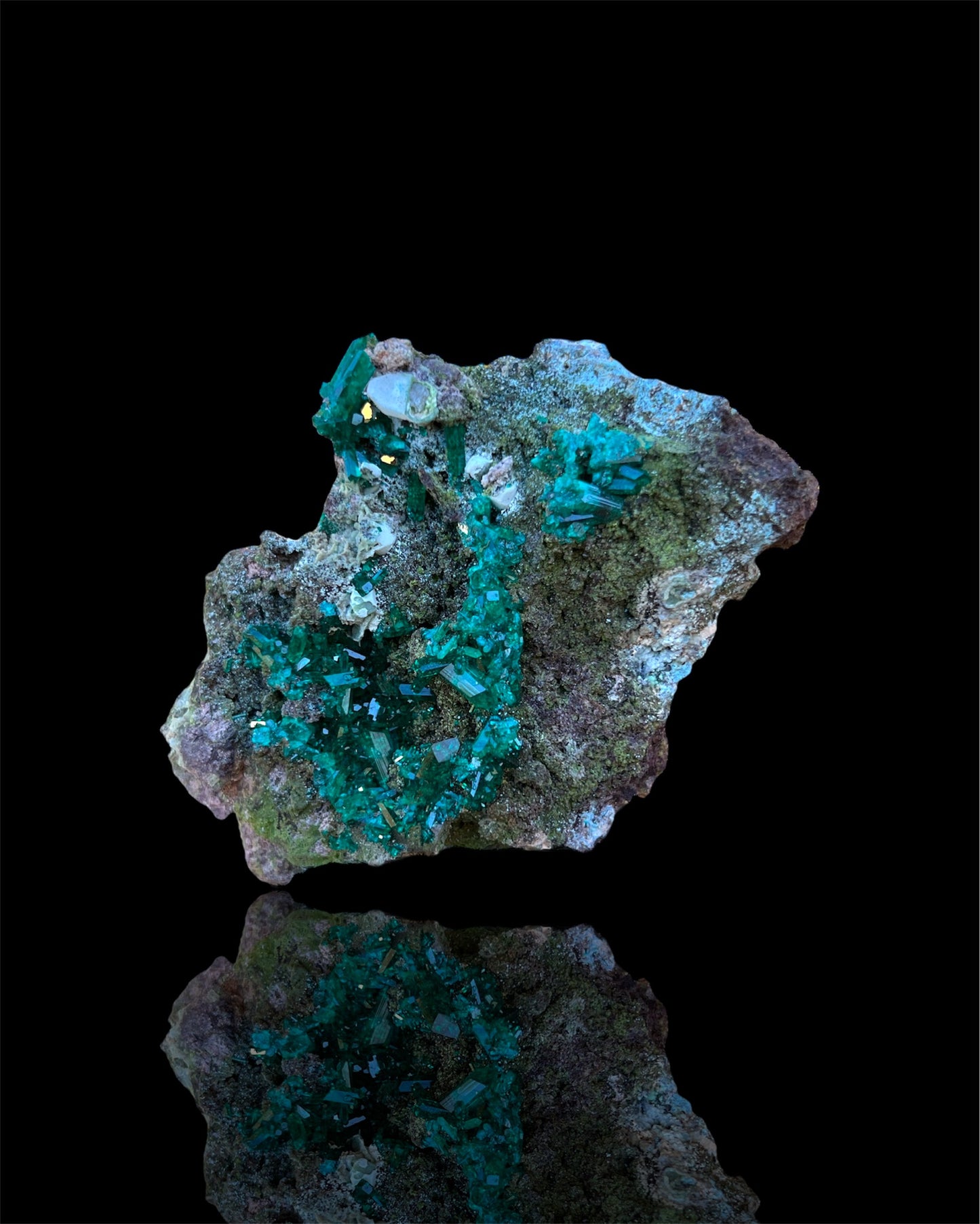 Dioptase and Mimetite with Shattuckite and Calcite minor on Matrix from the Congo